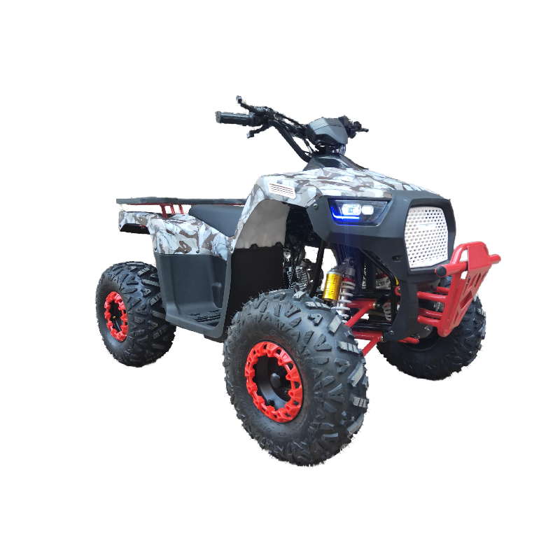 Factory directly 110CC/125CC ATV for adults ATV Quad for sale